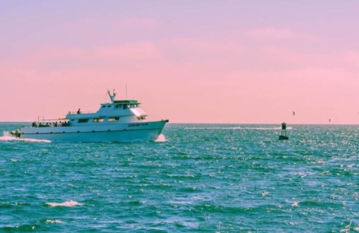 老网抑云的经典台词