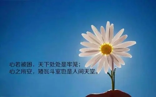 心灵的句子文案