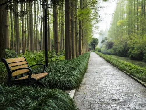 关于绿色森林的古诗词