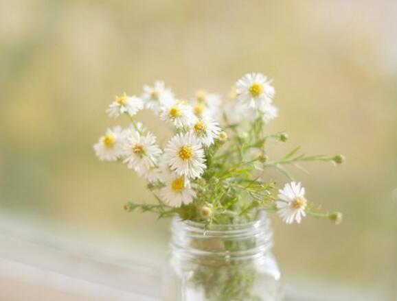 成长哲理句子文案摘抄大全