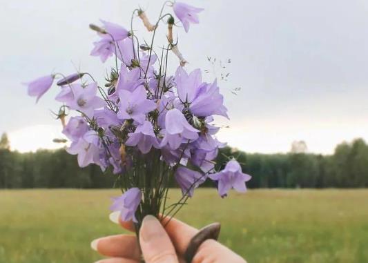 励志青少年名言短句