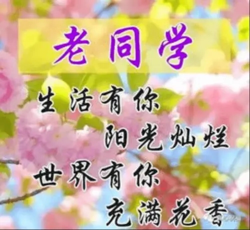 老同学早安祝福语