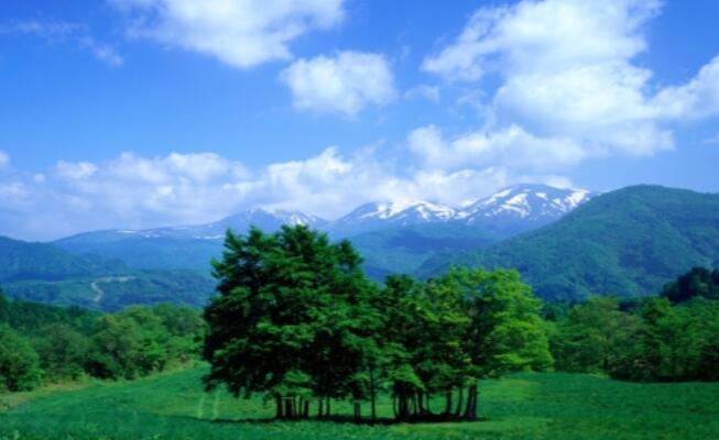 蓝天白云很美的短句