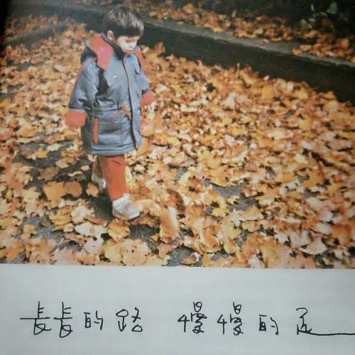 描写世间万物美好的句子文案