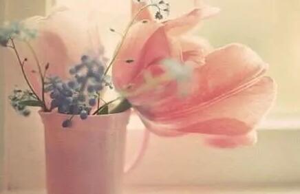 五月早安心语正能量