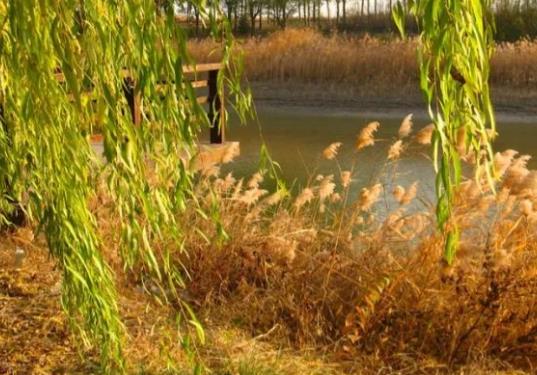 十一月美好的寓意的句子文案