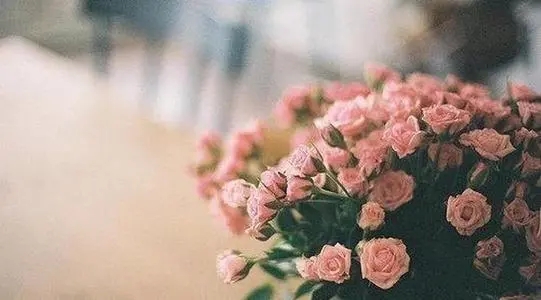 关怀暖心经典句子文案