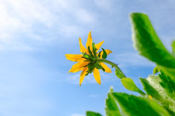 加油打气的句子文案