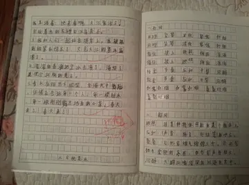 四年级摘抄读书笔记10篇