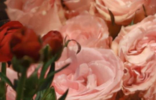 生日祝福语幽默