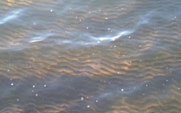 致自己晚安的说说文案