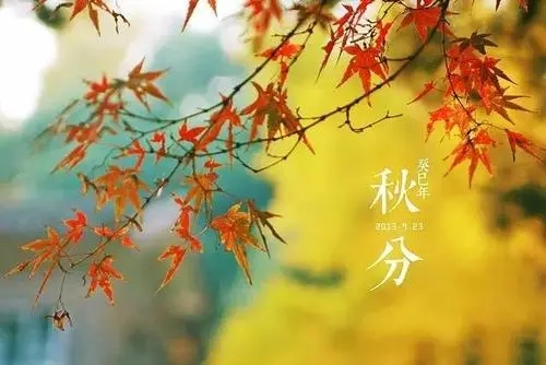 秋分的祝福句子文案