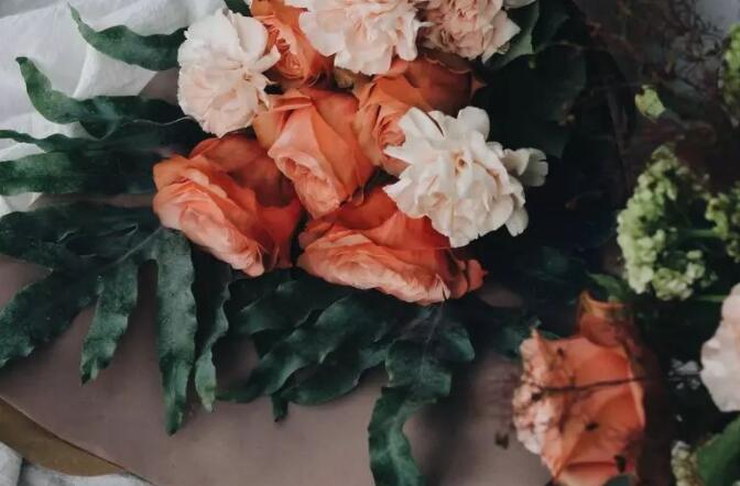 母爱的诗句文案古诗十首