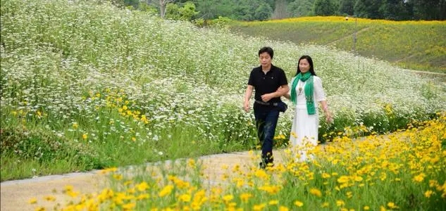 人景合一的美句