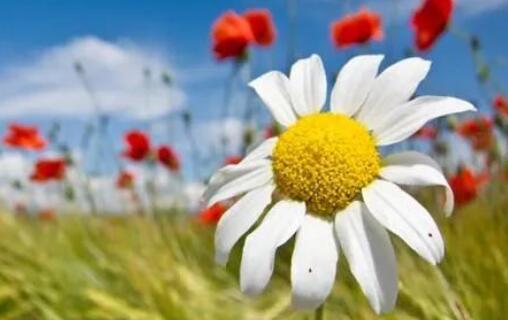 形容三月天气多变的句子文案