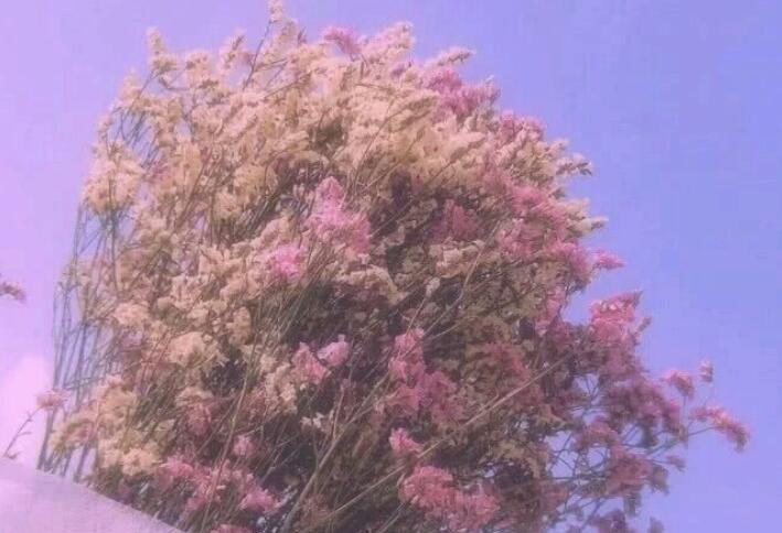 英文句子文案简短可爱