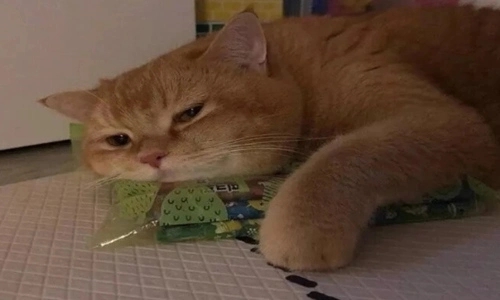 无聊的等待自拍说说文案