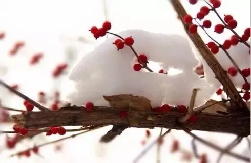 形容描写冬天的诗句文案