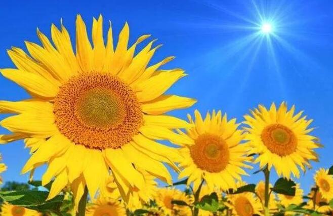 女人励志正能量短句