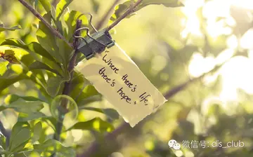 经历很多磨难的句子文案