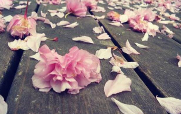 讽刺人虚伪恶心的诗句文案