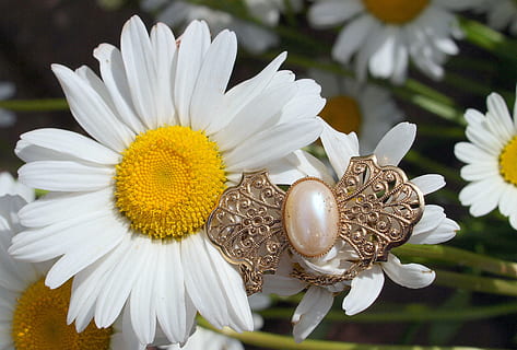 描写简单的幸福的句子文案