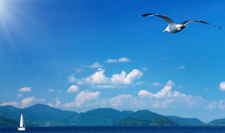 海边放松漫步短句子文案