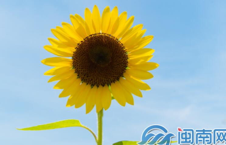 十月你好经典语录唯美句子文案