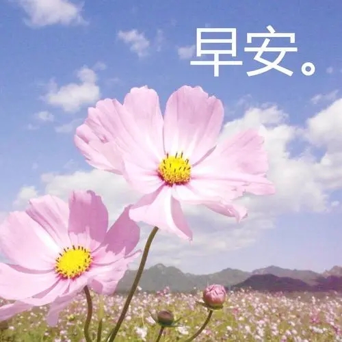 让人开心的早安心语