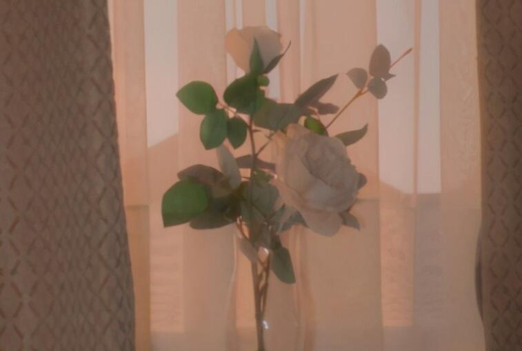 一个人其实挺好的说说文案