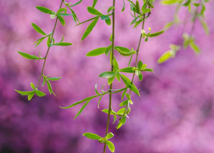 给红颜知己的暖心短句