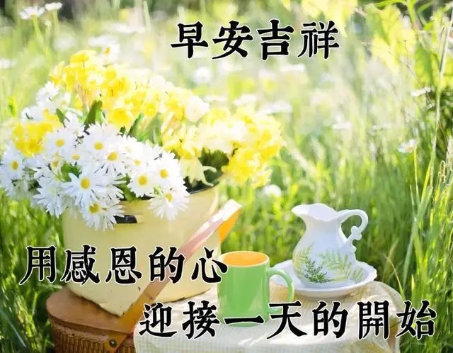 暖心祝福语四字成语