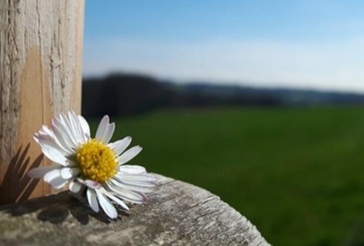 反思反省的名言警句