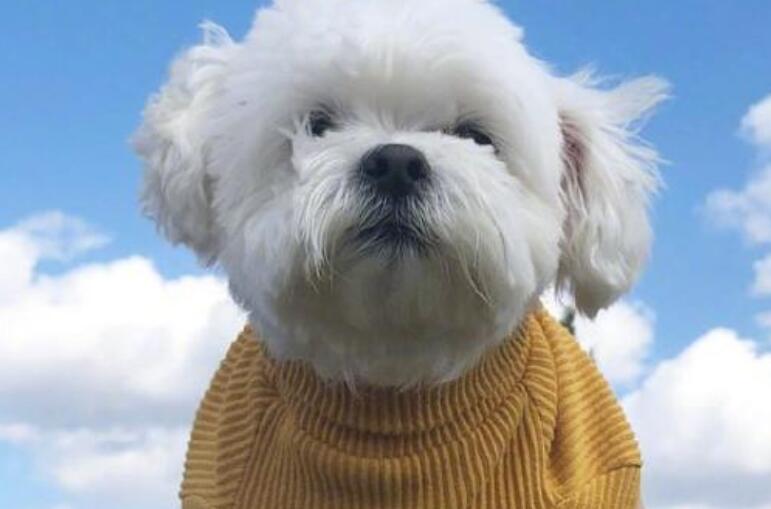 激励成功的精辟语录文案