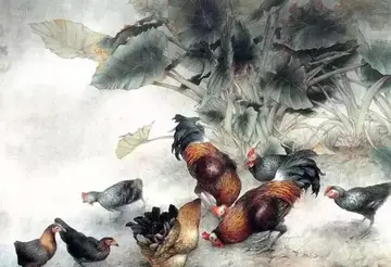 名言警句摘抄及赏析感悟