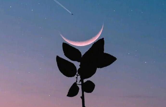 感悟人生的句子文案简短晚安的句子文案