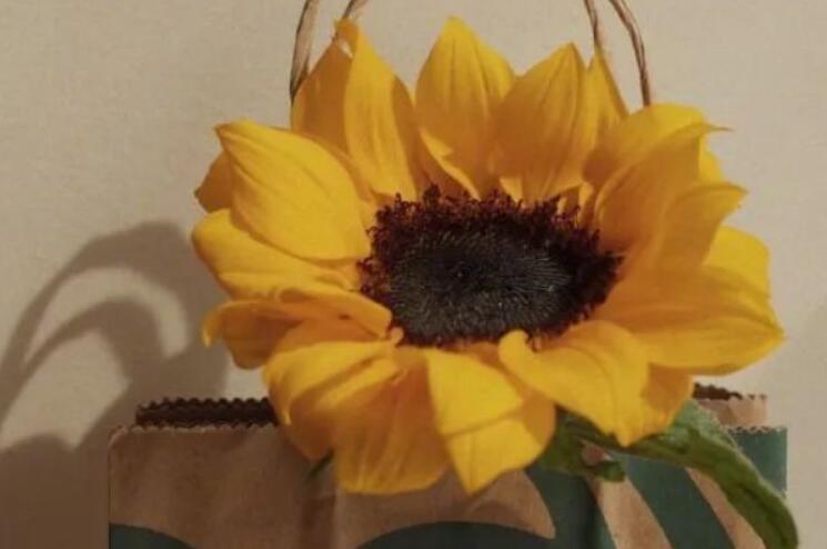 表达你值得的句子文案