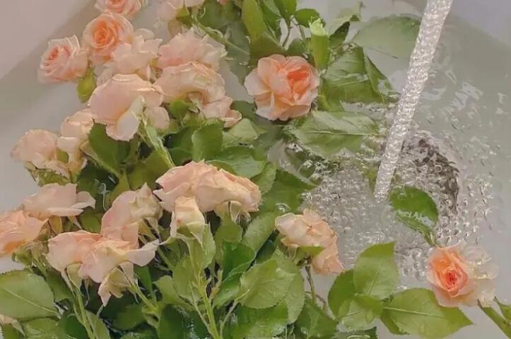 乐观有趣的一句话