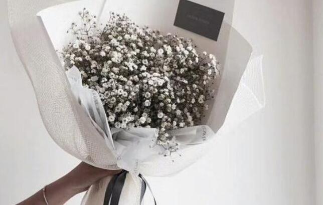 二十个好句子文案字少