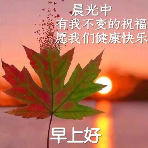 早晨祝福语句文案好心情