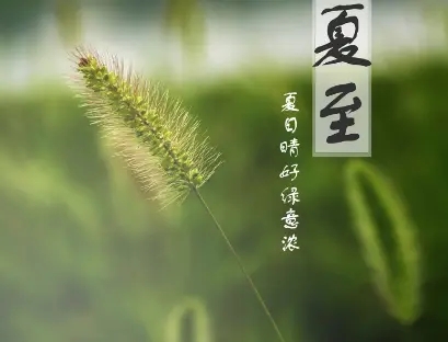 春末夏至的说说文案