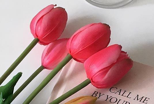 赞美鲜花的句子文案简短