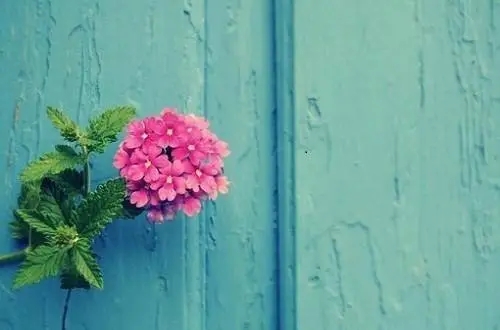 微信个性签名美好的句子文案