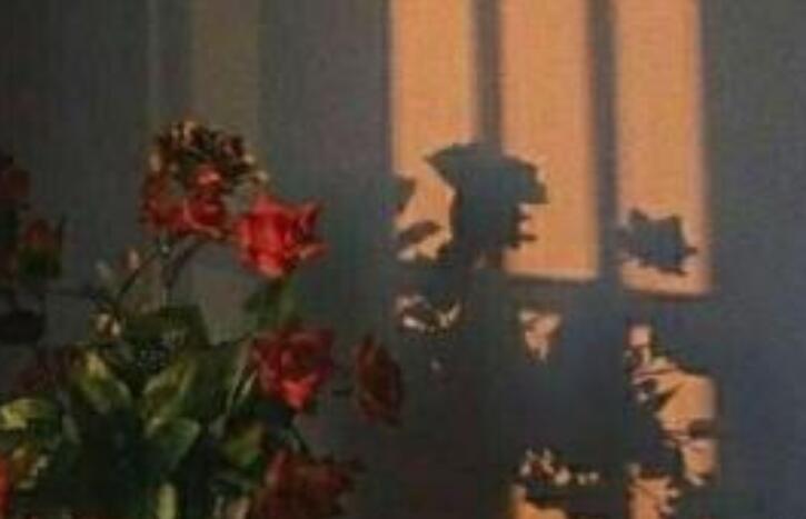 感觉自己堕落了的说说文案