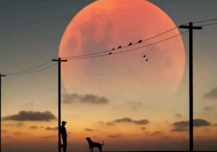 人生感悟的美句