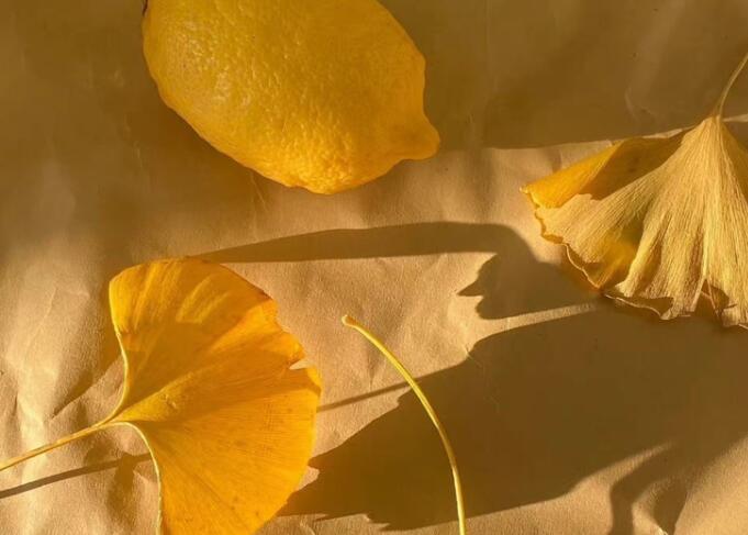 经典英语优美句子文案摘抄