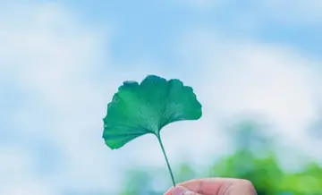 看似简简单单的语录文案