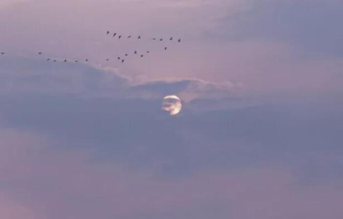 孤独的很丧的英文文案短句