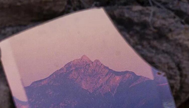 虐到极致的文案