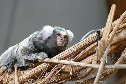 等你等了那么久的心情说说文案